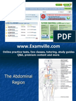 Abdominal Anatomy