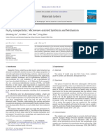 Fe3O4 Nanoparticles - Microwave-Assisted Synthesis and Mechanism