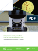 Manual Diagnostico final.pdf