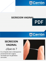 secrecion_vaginal__110__0