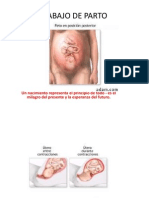 Trabajo de Parto