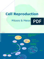 Biologi Cell Reproduction