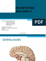 neurohipfisisfisiologia