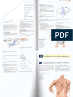 Part2 _Anatomie Clinique Kamina