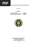 Download Pencernaan Protein Dalam Rumen by Asal Anton Wicaksono SN375032158 doc pdf