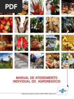 Manual de Atendimento Individual Do Agronegócio - 0800 (1)
