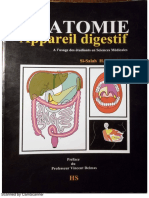 Anatomie de L'appareil Digestif - PR Hammoudi Si Salah - Part 1
