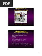 Aula 3 - Metabolismo Energético.ppt.pdf