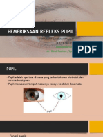 Pemeriksaan Refleks Pupil