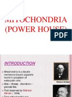 Mitochondria (Power House)