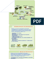 El Ciclo de Produccion Forestal