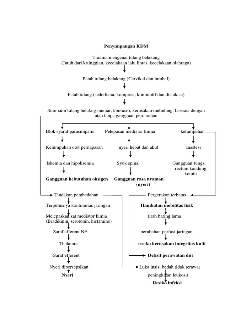 Penyimpangan KDM | PDF
