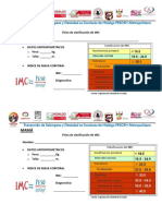 Ficha de Registro de Imc PDF