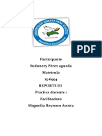 REPORTE III Practica Docente