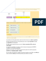 Respuestas Genética y Biología Molecular