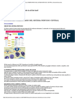 Desarrollo Embrionario Del Sistema Nervioso Central - Temasmedicosvarios