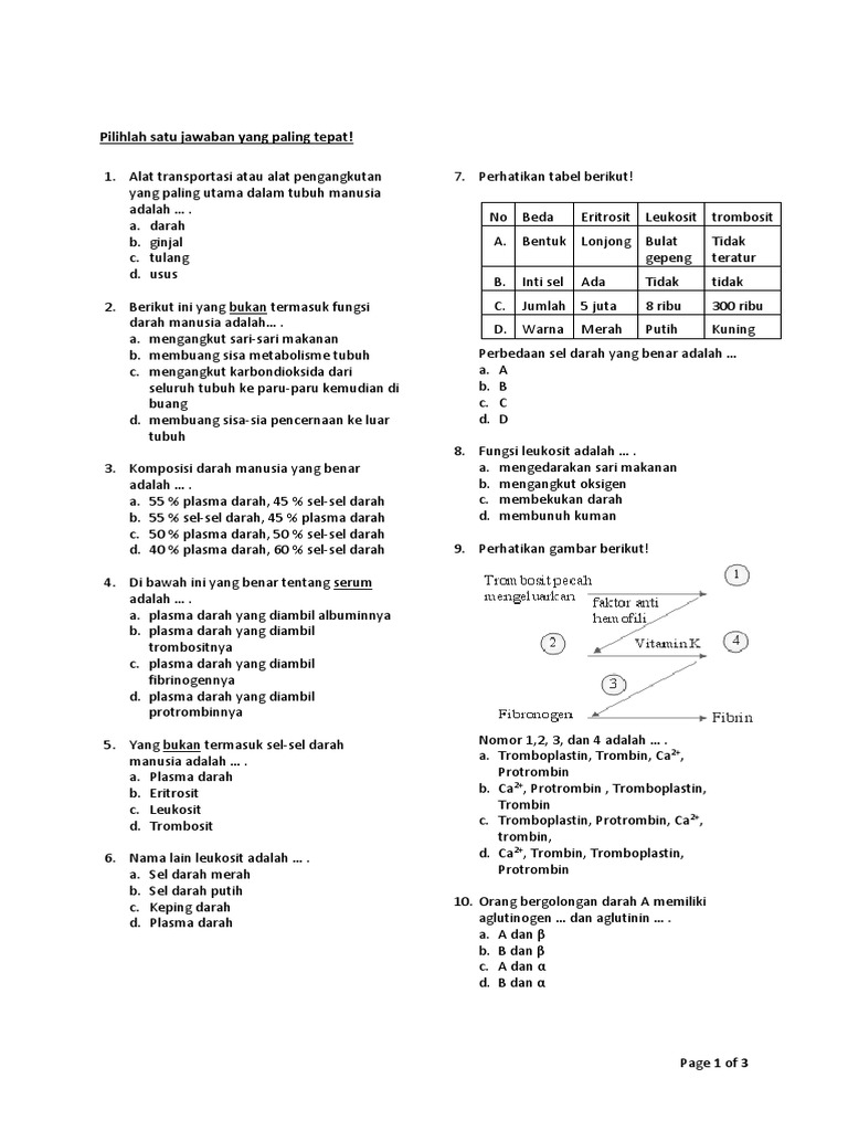 Soal Dan Jawaban Peredaran Darah Kelas 8 Bagikan Kelas