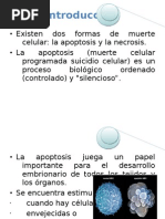 Download Apoptosis1 by Karina Isabel Garca Snchez SN37507619 doc pdf