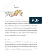 Biological Background: 1.1. DNA - Deoxyribonucleic Acid