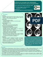 Poster AVEPA 2015 Bullas Pulmonares