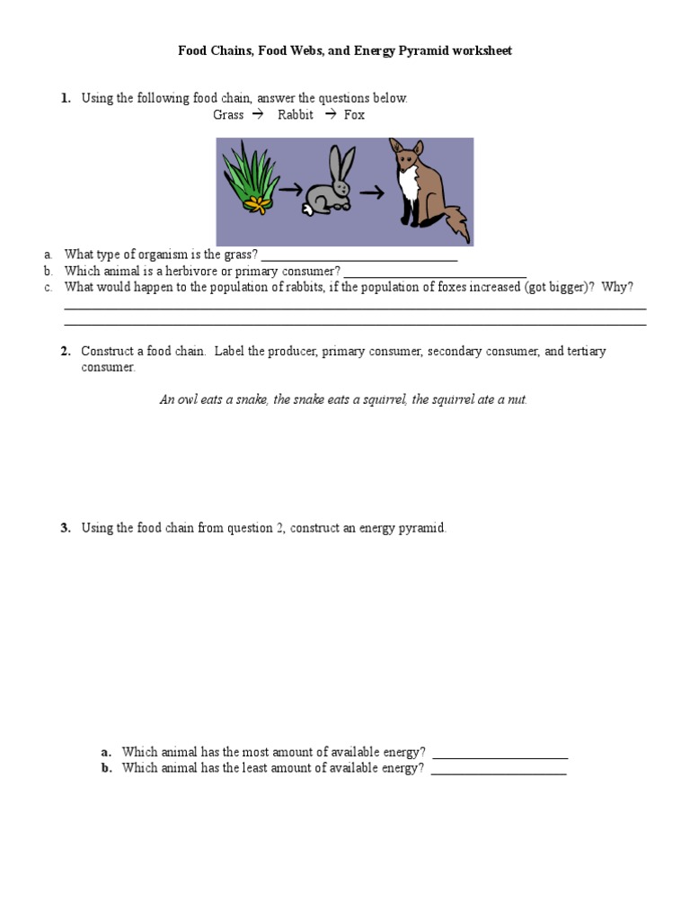 food-chains-food-web-and-energy-pyramid-worksheet