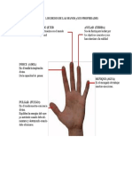 Losdedosdelasmanosysuspropiedades.pdf