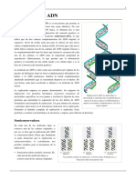 Replicación_de_ADN.pdf