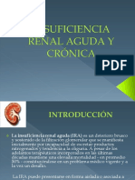 Causas, clasificación y tratamiento de la insuficiencia renal aguda