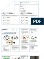 Prueba Saber