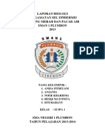 Pengamatan Sel Epidermis Kelas 11