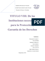 LOTTT Título VIII de Las Instituciones Necesarias para La Protección y Garantía de Los Derechos