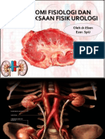 anatomi fisiologi dan pemeriksaan fisik urologi.pptx