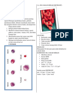 Komponen Darah
