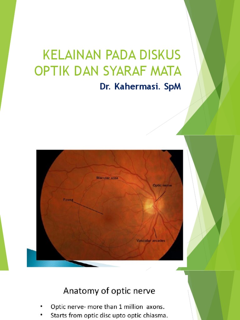 Kelainan Pada Diskus Optik Dan Syaraf Mata | PDF