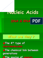 Nucleic Acids: Dna & Rna