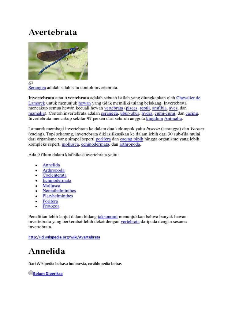 76 Gambar Hewan Invertebrata Protozoa Terbaik