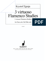 Krystof Zgraja - Flamenco Studies
