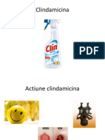 Clindamicina