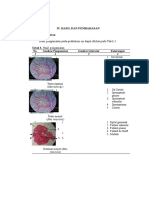 IV. Hasil Dan Pembahasan Histologi Organ Reproduksi