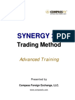 Synergy Method.pdf