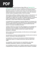 Qué es una ONG