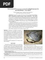 2015 - New Record of Kinosternon Scorpioides in Brazil Increases Its - Viana