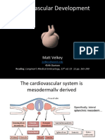 Embryology04 CardiovascularSystem