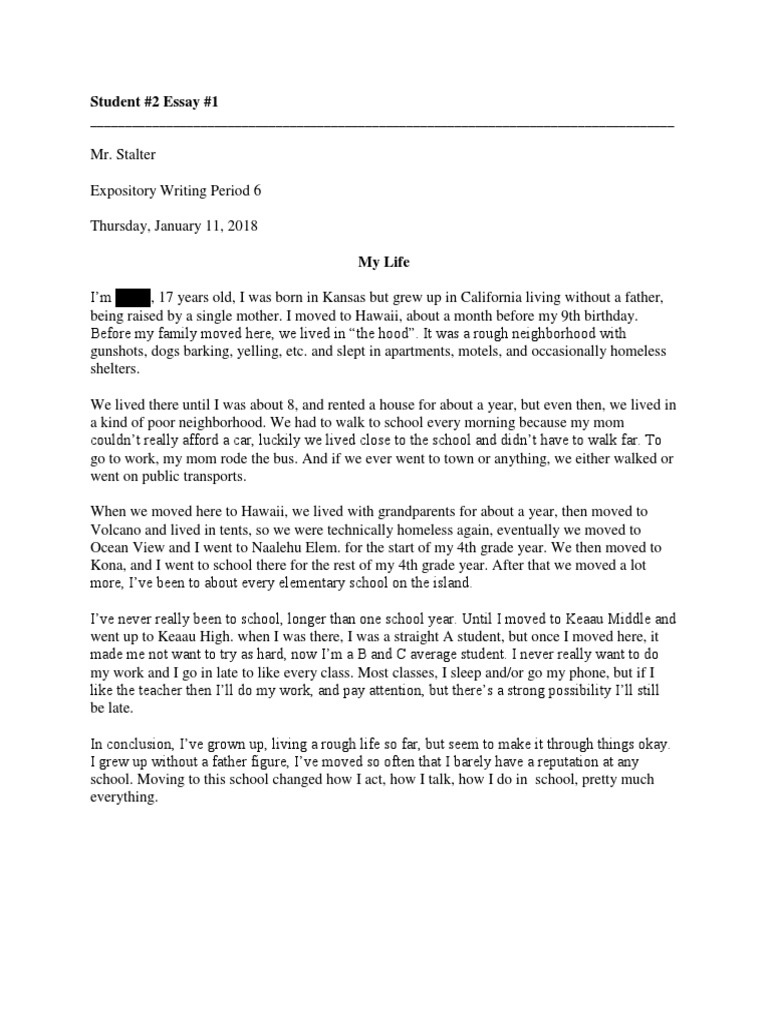 Student 2 Essays PDF Designer Baby