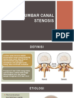 Lumbar Canal Stenosis