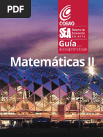 Guia MatematicasII SEA