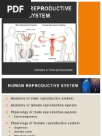 Human Reproductive System: Prepared By: Puan Sofiyah Nordin