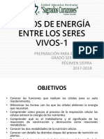 Flujos de Energía Entre Los Seres Vivos 1