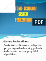 Anfis Sistem Perkemihan