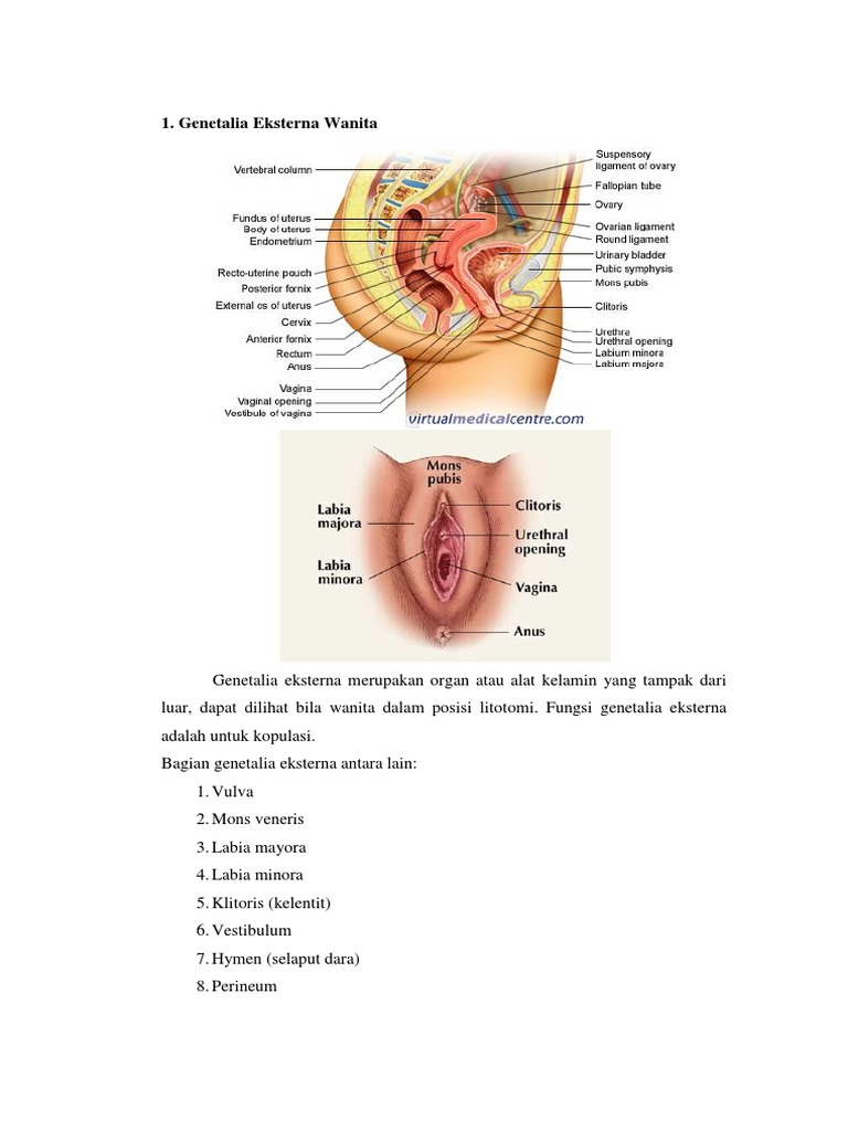 Kop mushuklar bilan jinsiy aloqa